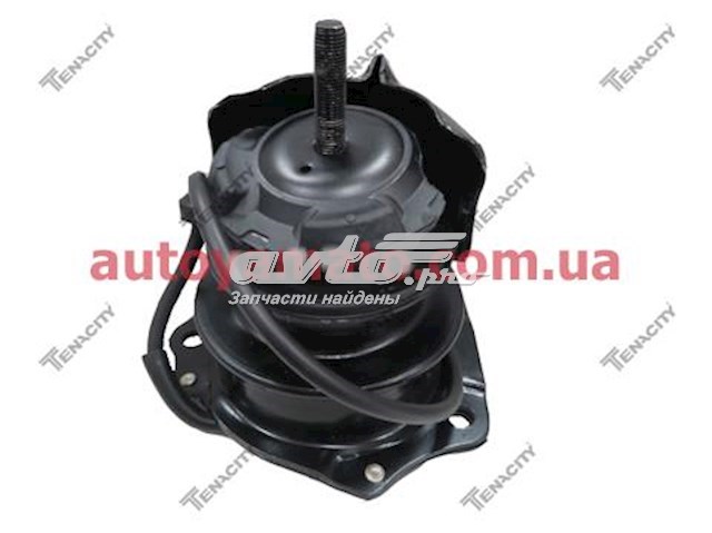 Coxim (suporte) direito dianteiro de motor Tenacity AWSHO1049 preço, a partir de 48,76 USD