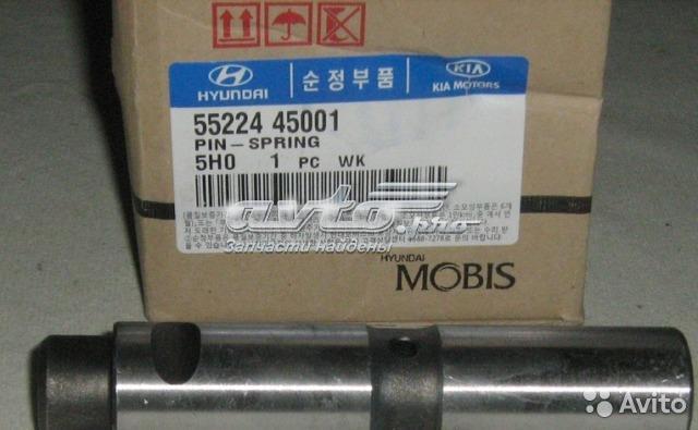 5522445001 Hyundai/Kia Pino dianteiro da mola traseira