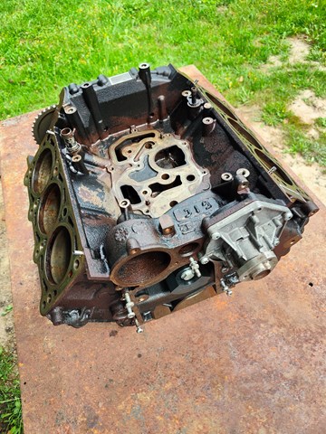 Motor montado BUG VAG