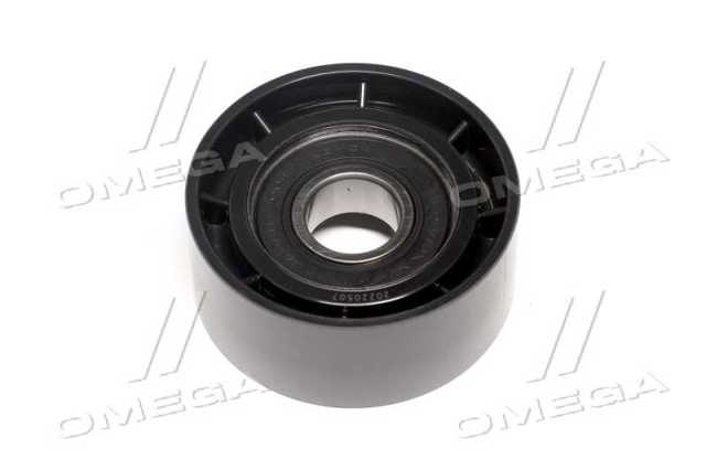 Rolo parasita da correia de transmissão PU176012RDXW Koyo