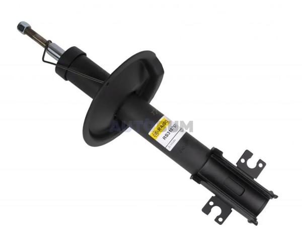  Raiso RS310767