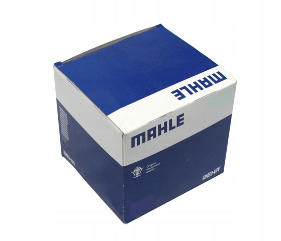 Compre 209HS20870000 Mahle Original Folhas inseridas principais de cambota, kit, padrão (STD)