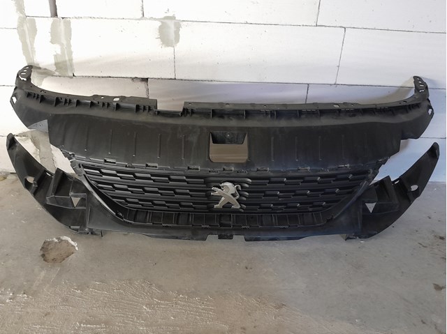 1632654780 Peugeot/Citroen Grelha do radiador