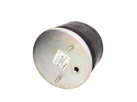 Compre 5002030106P Magnum Technology Coxim pneumático (suspensão de lâminas pneumática) do eixo