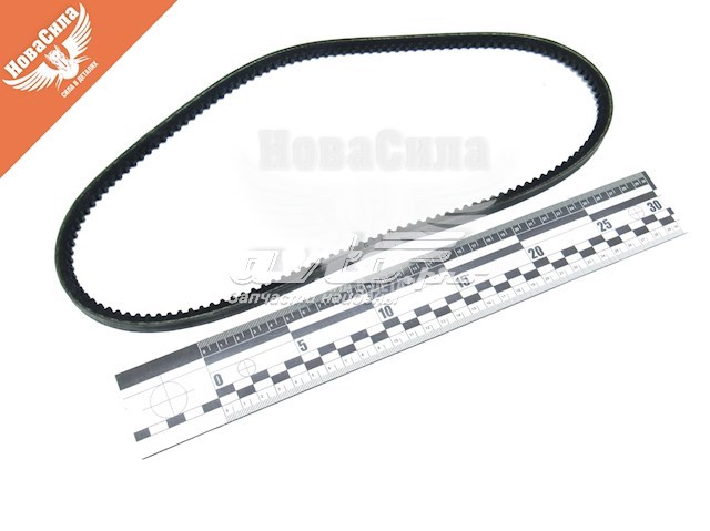 Compre 10A0888C Dayco Correia dos conjuntos de transmissão