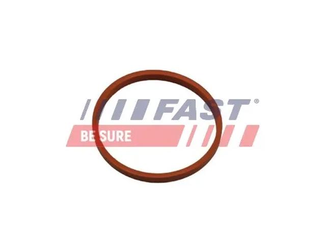 Anel de vedação (vedante) de cano derivado de intercooler FT48932 Fast