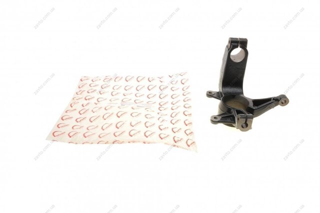 Compre RWS2210 Rotweiss Pino moente (extremidade do eixo) dianteiro direito