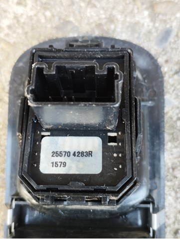 Renault (RVI) 255704283R