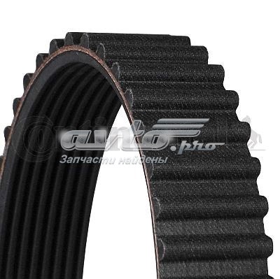 Correia do mecanismo de distribuição de gás Continental/Siemens CT530 preço, a partir de 39,40 USD
