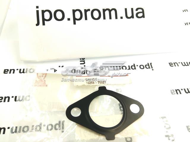  Toyota 1625875021