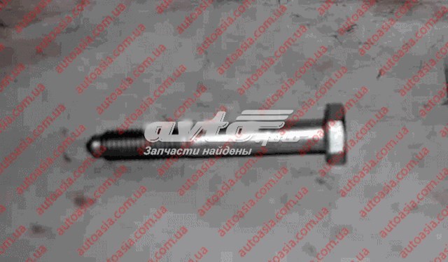 Compre N10023602 Chery Parafuso de fixação do braço oscilante inferior traseiro