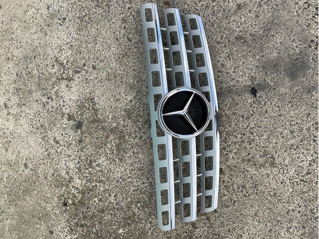  Grelha do radiador Mercedes ML/GLE SUV (W164) (2005 - 2011) 