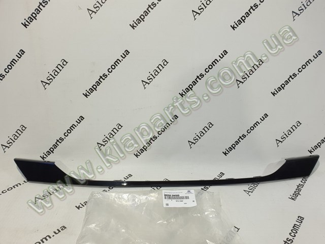  Hyundai/Kia 863562W000