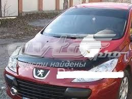 Defletor da capota Peugeot 307 SW 3H