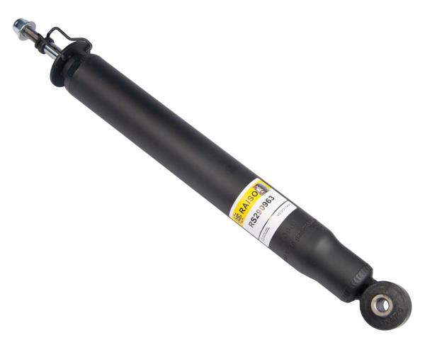 RS290963 Raiso Amortecedor traseiro