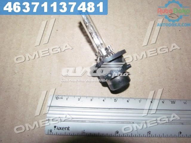 002579100000 Magneti Marelli Lâmpada de xénon