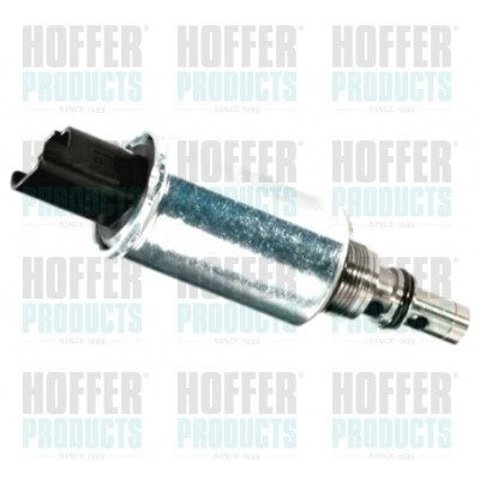 Compre 8029123 Hoffer Válvula de regulação de pressão (válvula de redução da Bomba de Combustível de Pressão Alta) Common-Rail-System