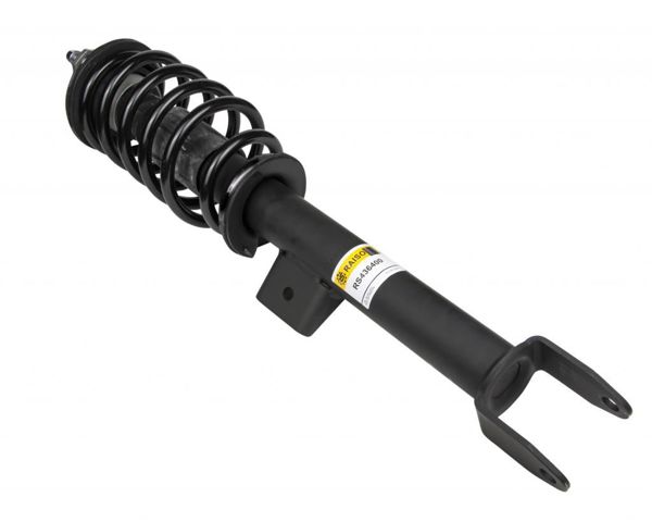 Compre RS436400 Raiso Amortecedor dianteiro esquerdo