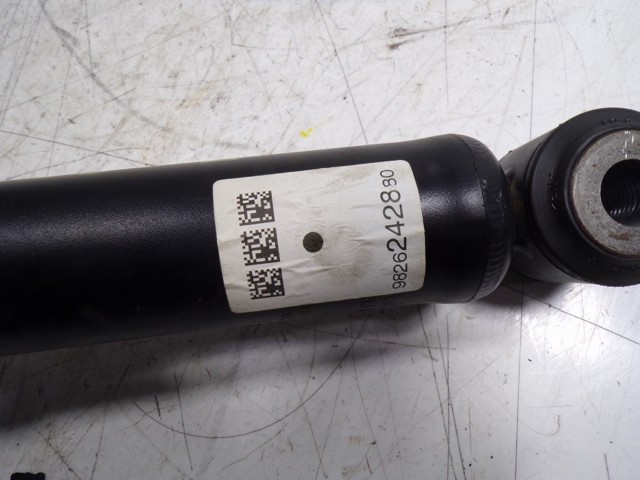 9826242880 Peugeot/Citroen 