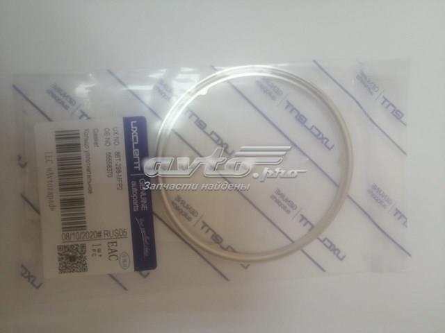 Vedante dianteiro de catalisador General Motors 55558370 preço, a partir de 5,92 USD