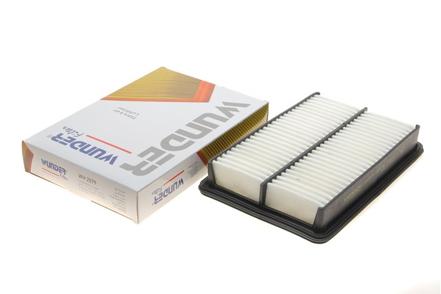 WH2079 Wunder Filtro de ar