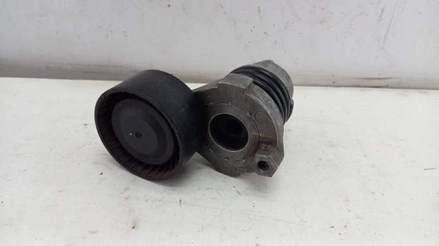 Compre 117506193R Renault (RVI) Reguladora de tensão da correia de transmissão