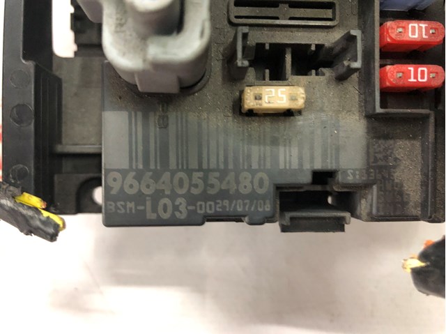 9664055480 Peugeot/Citroen 