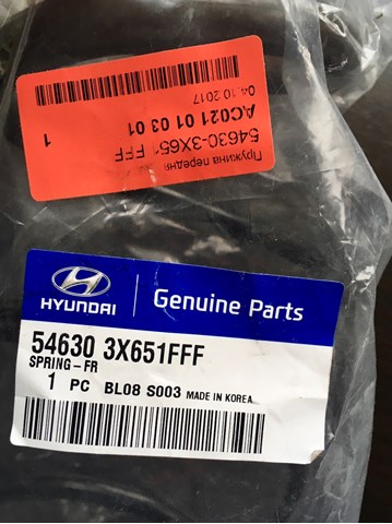 546303X651FFF Hyundai/Kia Mola dianteira