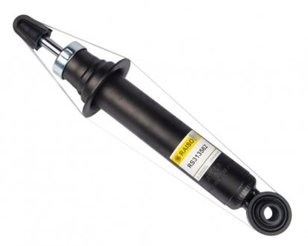  Raiso RS313562