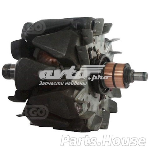 233761 Cargo Induzido (rotor) do gerador