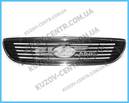Grelha do radiador 863502G110 Hyundai/Kia