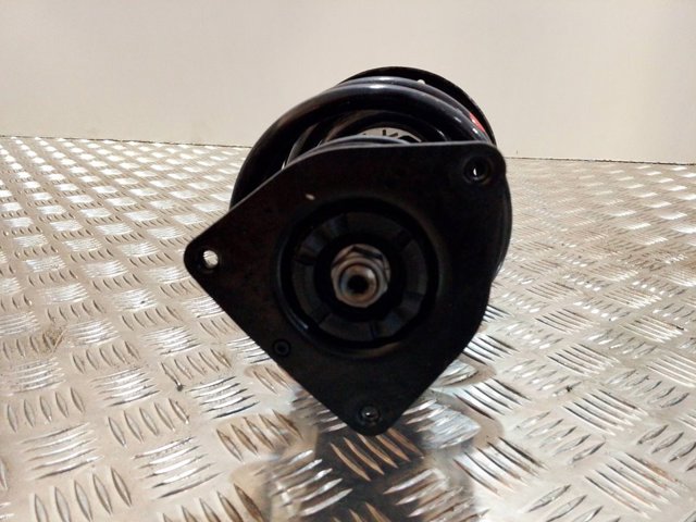 Amortecedor dianteiro direito Peugeot/Citroen 9836654880