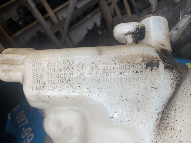  9671568380 Peugeot/Citroen
