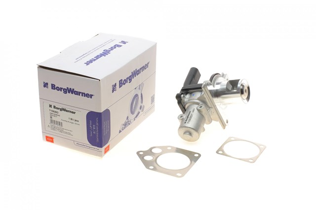 710928D Wahler Válvula EGR de recirculação dos gases