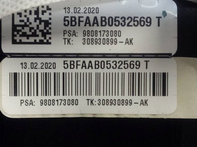 9808173080 Peugeot/Citroen 