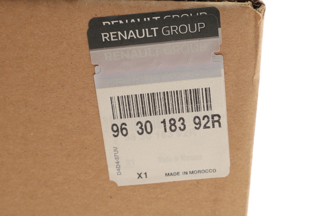 Compre 963018392R Renault (RVI) Espelho de retrovisão direito