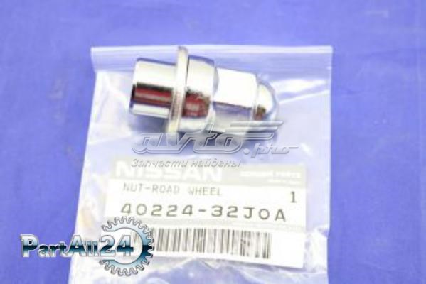 4022432J0A Nissan/Infiniti 