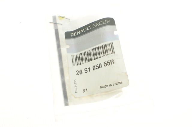 Lanterna da luz de fundo de matrícula traseira 265105055R Renault (RVI)