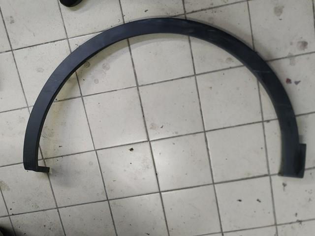 Expansor (placa sobreposta) de arco do pára-lama dianteiro esquerdo 638753254R Renault (RVI)