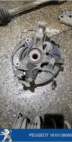 Compre 1610138080 Peugeot/Citroen Pino moente (extremidade do eixo) dianteiro direito