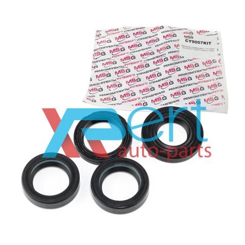 Kit de reparação da cremalheira da direção (do mecanismo), (kit de vedantes) para Chery QQ6  S21