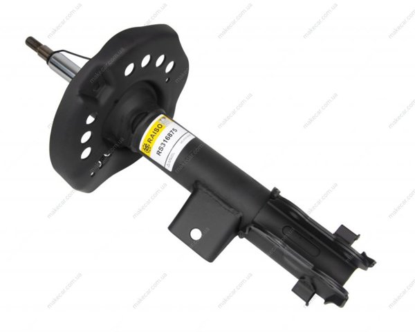 RS316875 Raiso Amortecedor dianteiro esquerdo