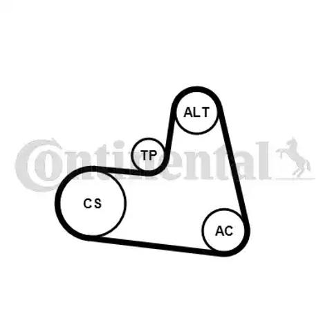 Correia dos conjuntos de transmissão, kit 6PK1217K1 Continental/Siemens