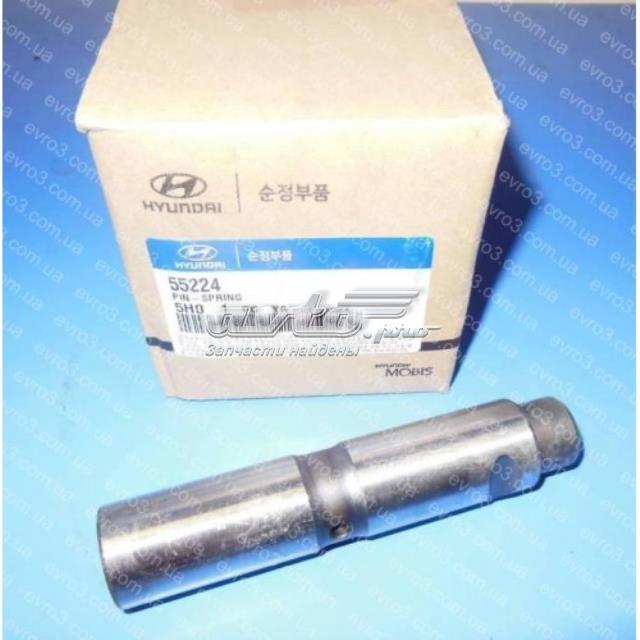 5522445001 Hyundai/Kia Pino dianteiro da mola traseira