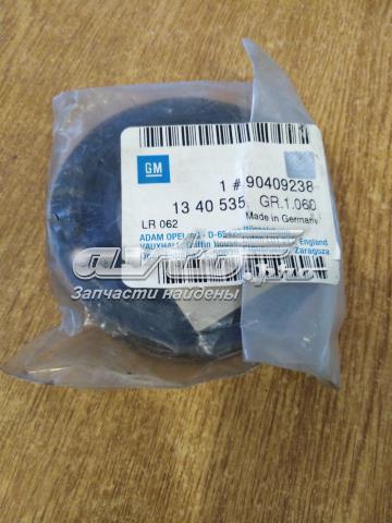 Rolo parasita da correia de transmissão General Motors 90409238