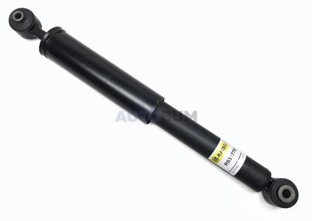 Amortecedor traseiro RS317790 Raiso