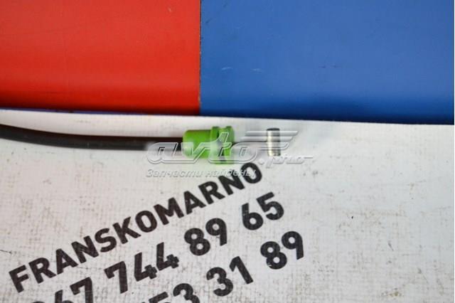9686719880 Peugeot/Citroen 