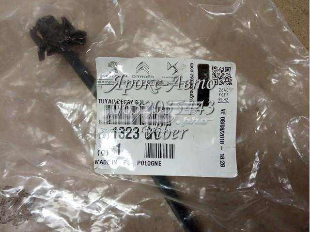 Compre 1323GV Peugeot/Citroen Mangueira (cano derivado) do sistema de esfriamento