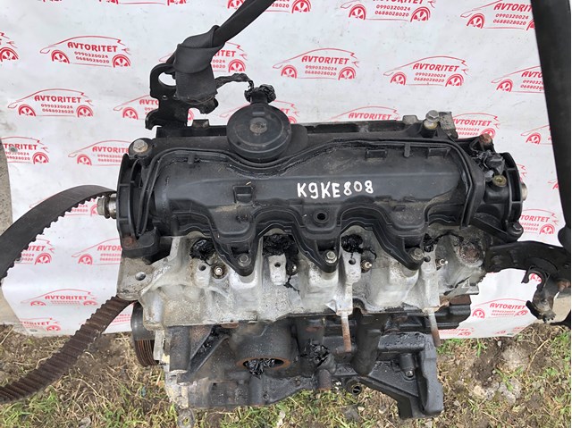 Compre K9KE808 Renault (RVI) 