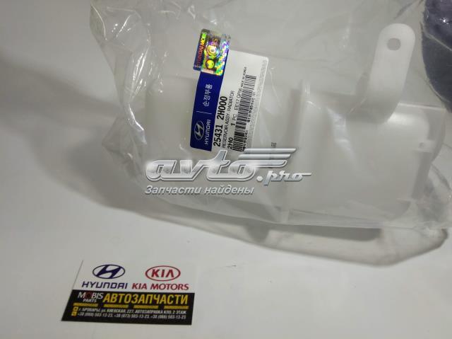 Tanque de expansão do sistema de esfriamento Hyundai/Kia 254312H000